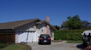 Alegria Community Living – Dichondra