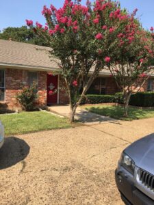 Avendelle Assisted Living Royal