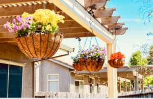 Brookview Rcfe, Inc.