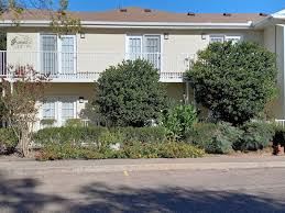 Comfort Senior Living, Llc