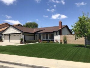 Delightful Living Too