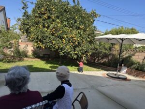 Hannah’S Home Care