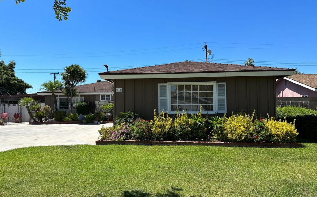 Hills Of Hayward, The