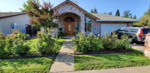 Living Healthy Home Care