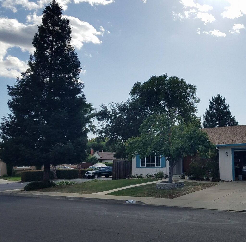 Magnolia Guest Home Llc