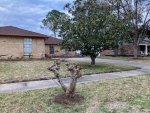 Margaret’S Home Care Services