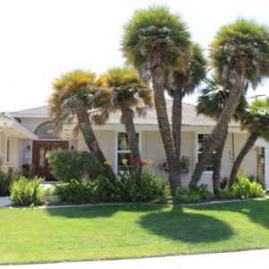 Ocean Breeze At Beechwood