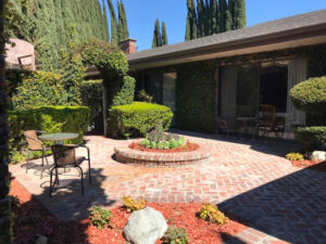 Olive Tree Home Care