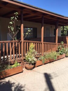 Olympic Board &Amp; Care