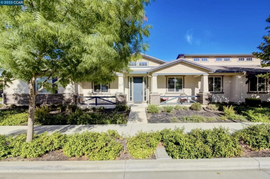 Safe Haven Rose Garden Llc