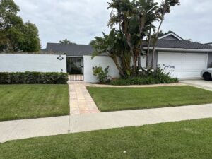 Sunny Coast Care Home