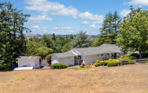 Taking The Journey Orchard