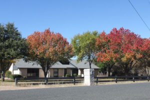 Tran’S Senior Oasis Llc