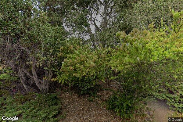 Flanders Court Of Carmel, Llc