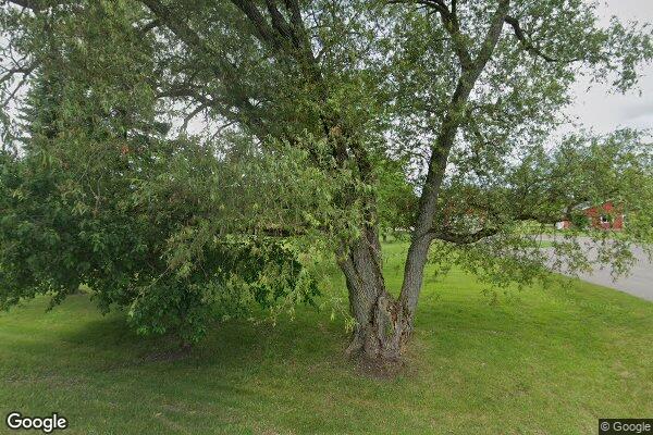 Maple Ridge Afc Home