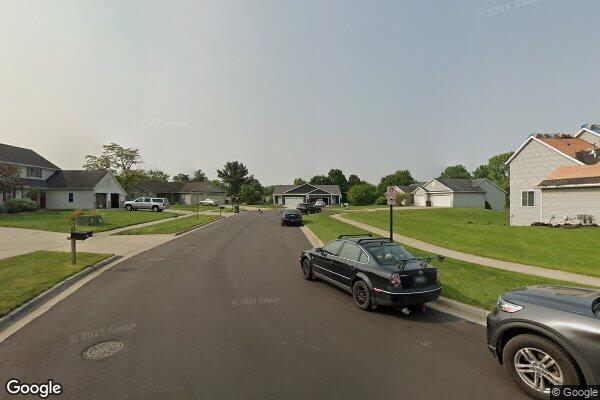 Platinum Living Walker