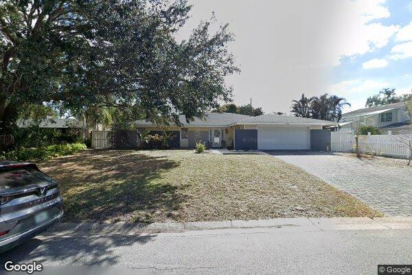 Swan At Lake Conway Alf