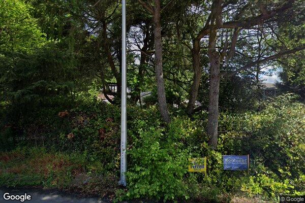 Green Pine Care Service