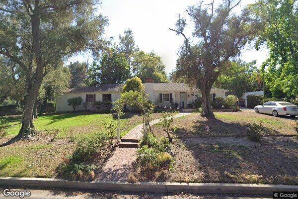 Three Sycamores On Gould