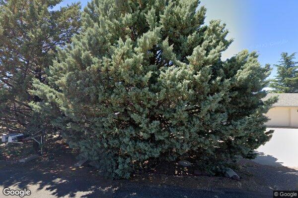 Shiloh Adult Care Llc