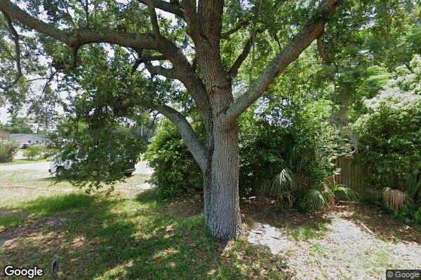 Feels Like Home In Tampa Alf Inc