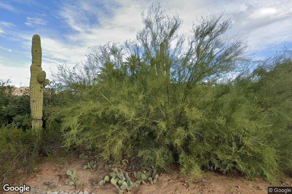 Camelback Manor House
