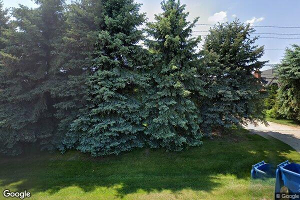 Ester Guest Home Llc