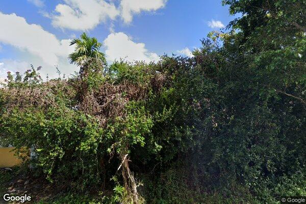 Lili's Home Care Corp