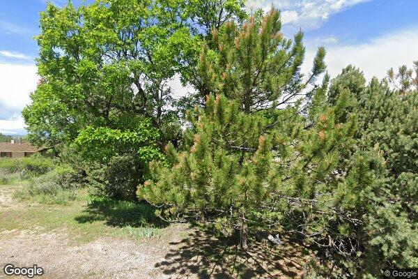 Senior Living At The Pinery Llc