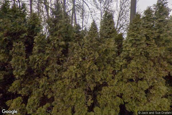 Davids Adult Foster Care Home