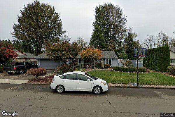 Blooming Meadows Llc