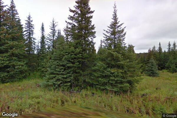 Williams Assisted Living Home