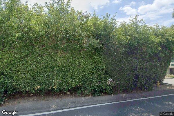 Thank Ya Kindly - Lemon Heights