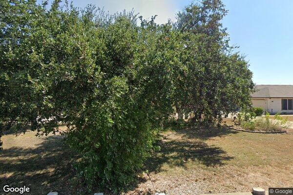 Family Tree Assited Living