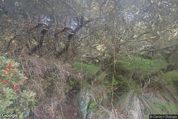 Sunrise Terrace Rcfe Ii