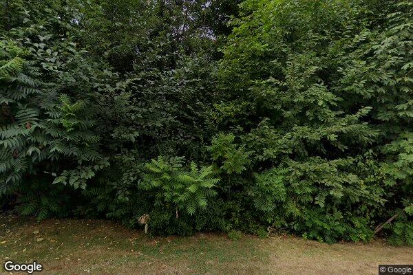 Canyon Park Adult Family Home