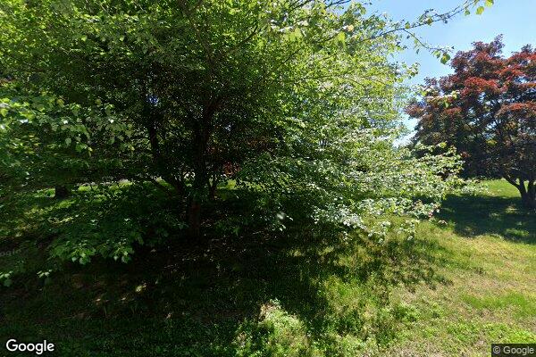 Castle Of Love Iii Assisted Living Home