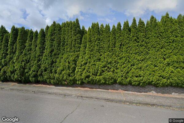 Assurety Adult Family Home Inc