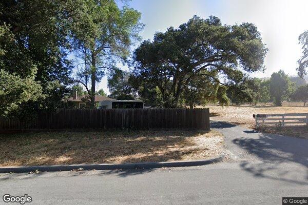 Songbird In The Country