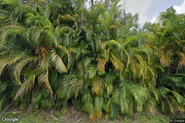 Hidden Pines Alf Inc