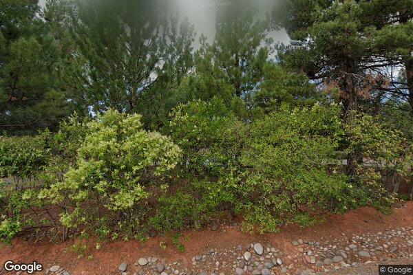 Alternative To Meds Center