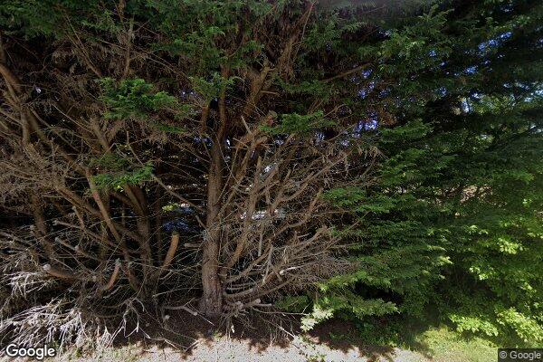 Soundview Elder Care Llc