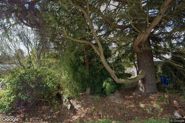 Bless Adult Family Home